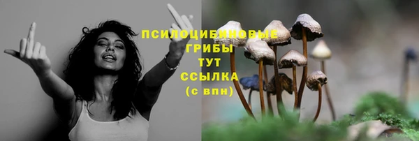 mdpv Абдулино