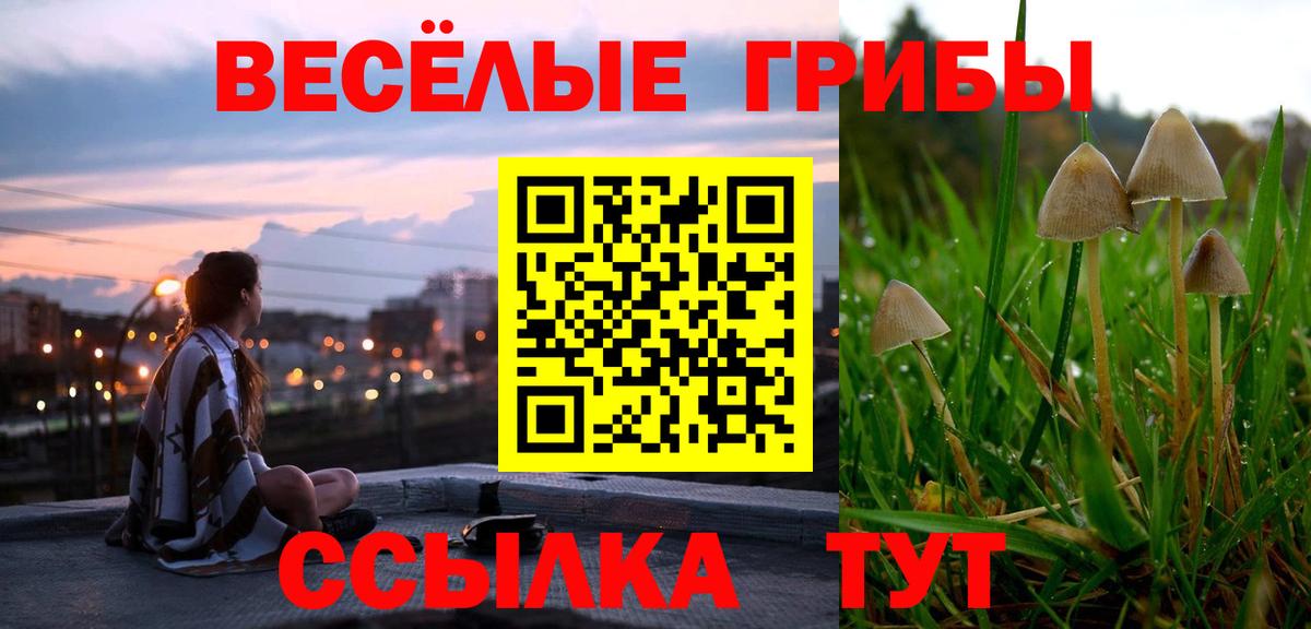 Галлюциногенные грибы GOLDEN TEACHER  Вход с VPN  наркотики  Уварово 